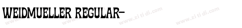 Weidmueller Regular字体转换